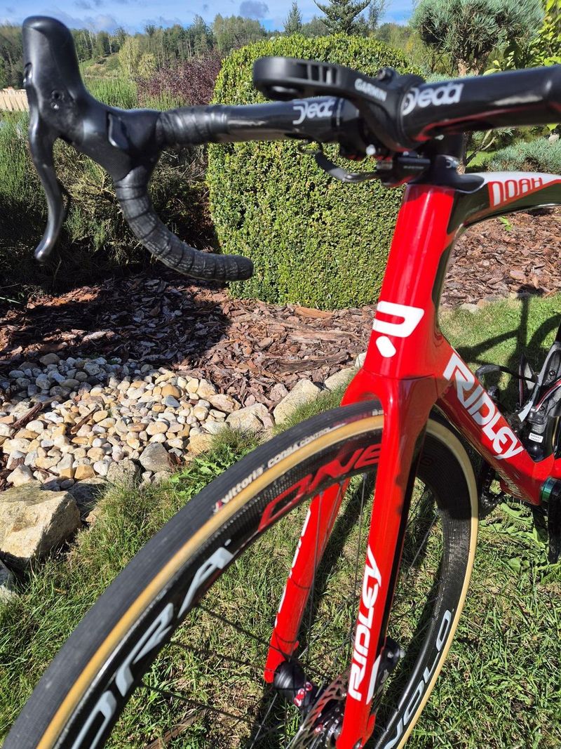 Ridley Noah Fast 2021 Lotto Soudal Team