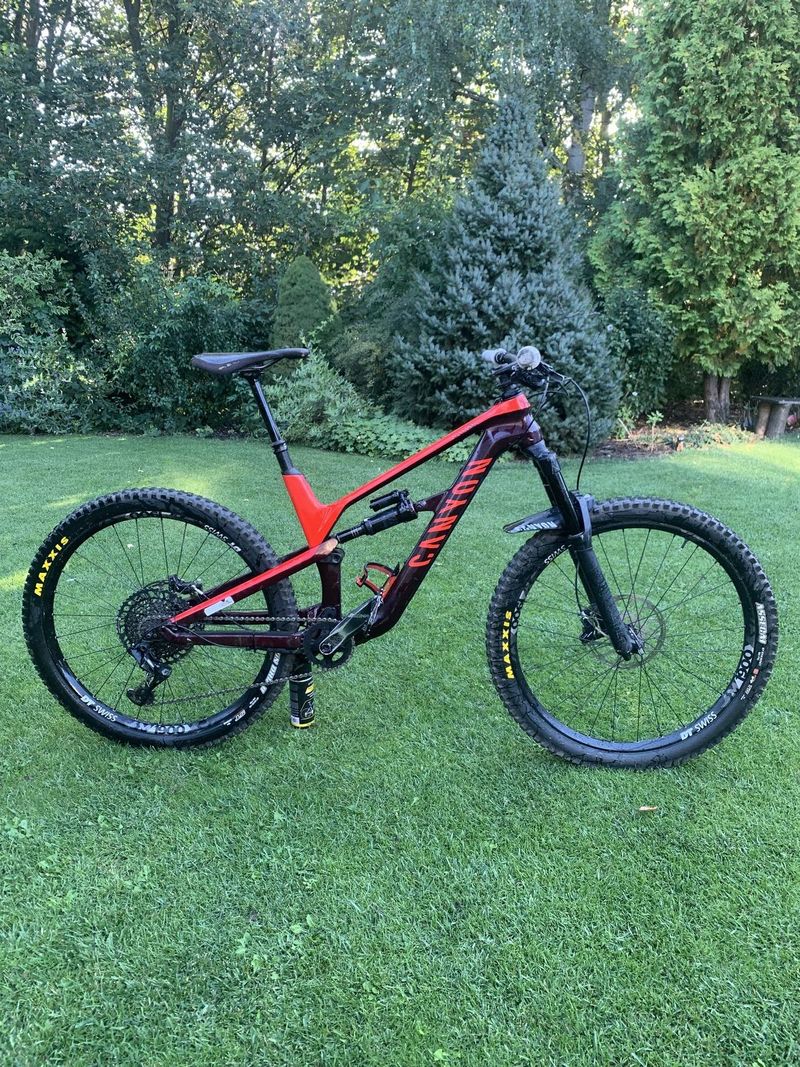 Canyon Spectral 2019 Karbon