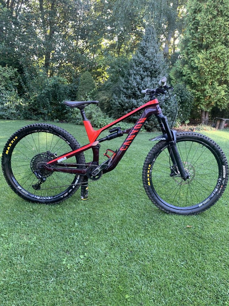 Canyon Spectral 2019 Karbon