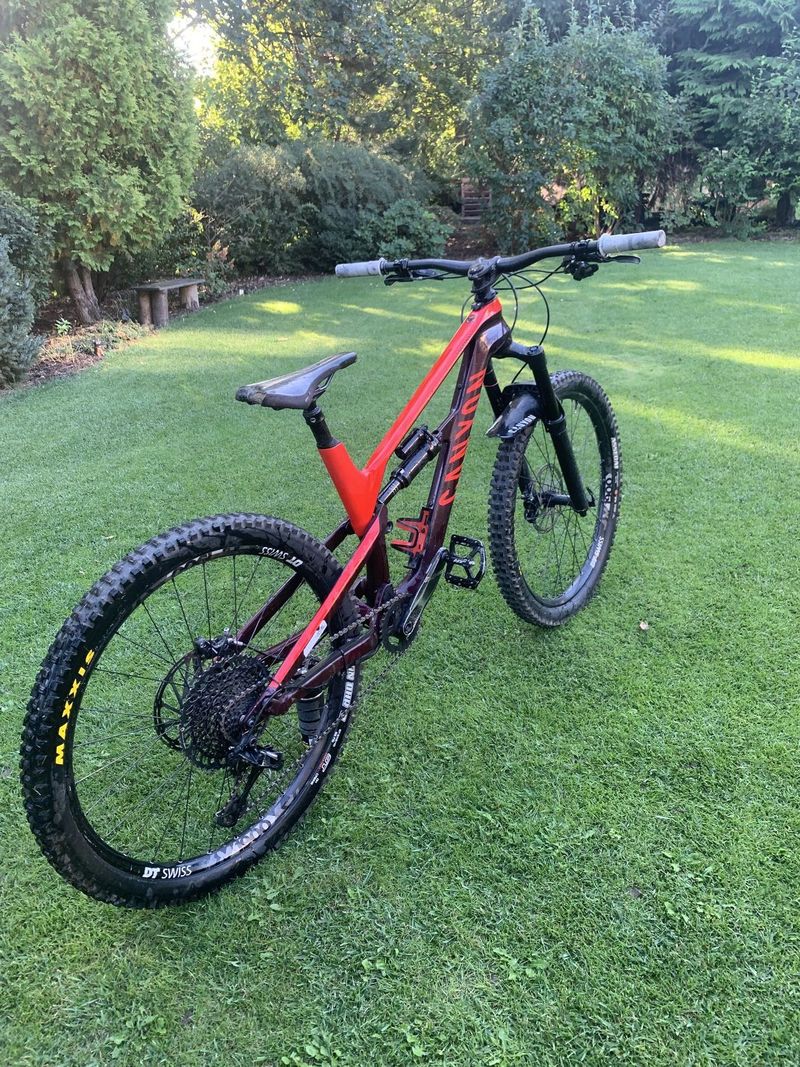 Canyon Spectral 2019 Karbon