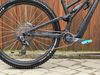 Sworks Stumpjumper EVO 2024 Custom