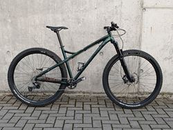 Dartmoor Primal L, 29"