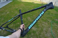 Bianchi Methanol SX L