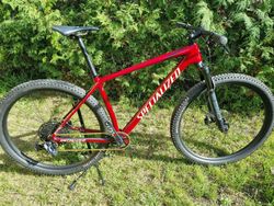 Specialized Epic HT 2022 - L