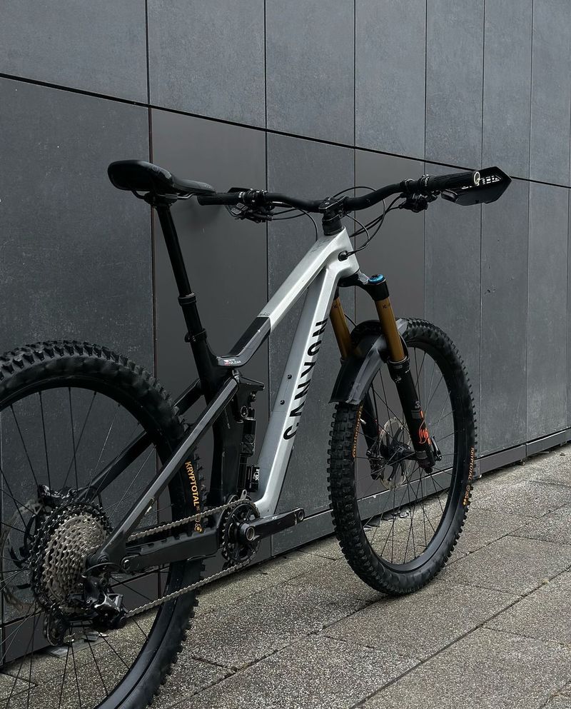 Canyon strive underdog