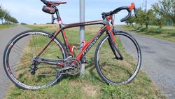 Wilier Gran Turismo