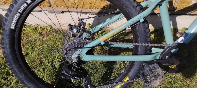 scott roxter 24 green MAXXIS MINION