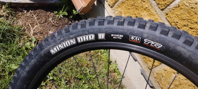 scott roxter 24 green MAXXIS MINION