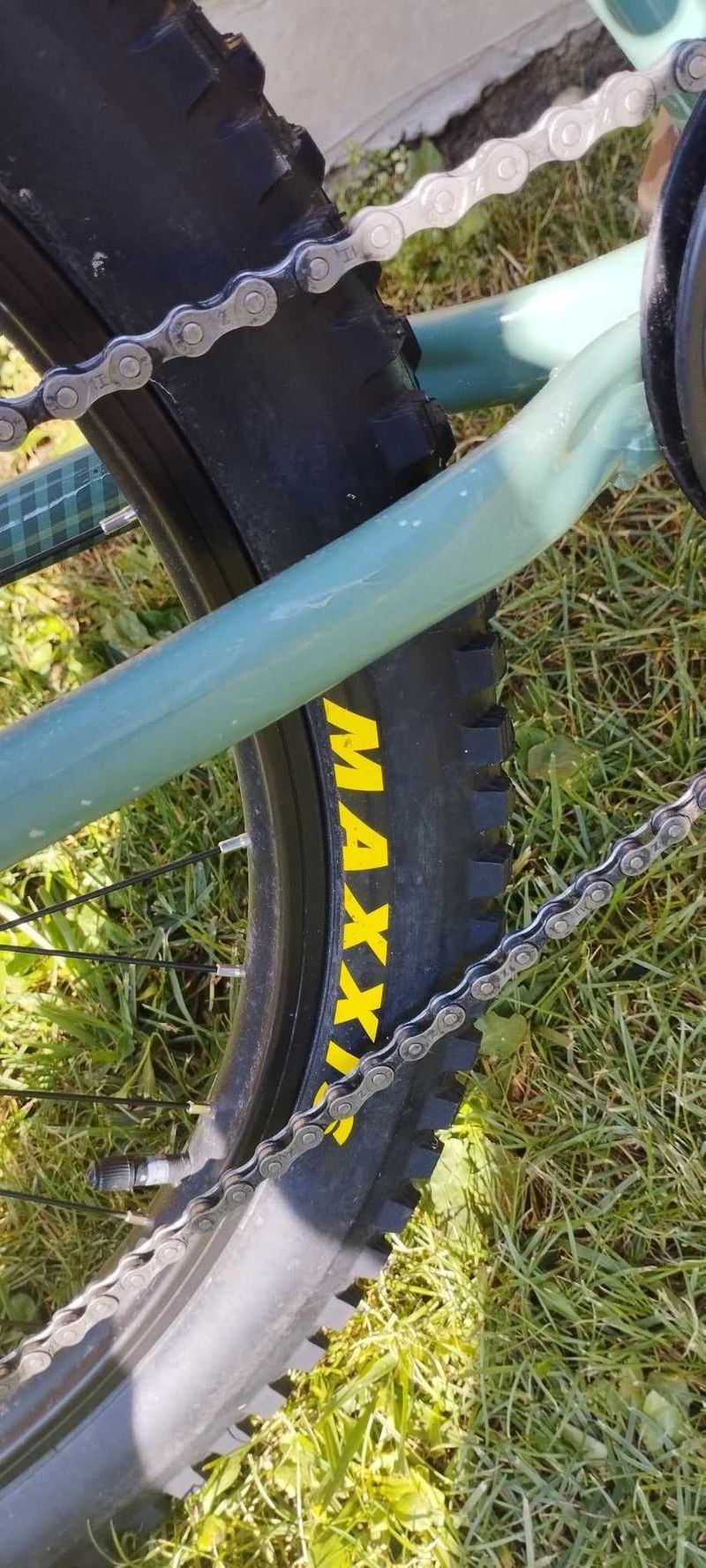 scott roxter 24 green MAXXIS MINION