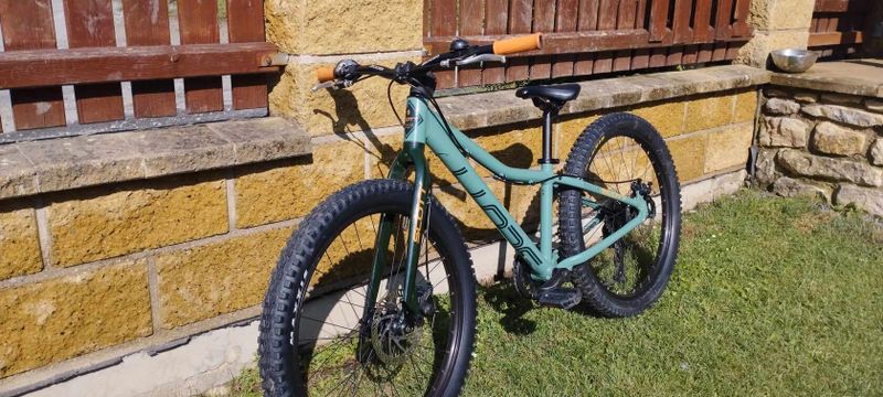 scott roxter 24 green MAXXIS MINION