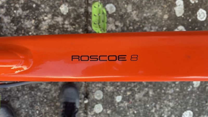 Trek Roscoe 8