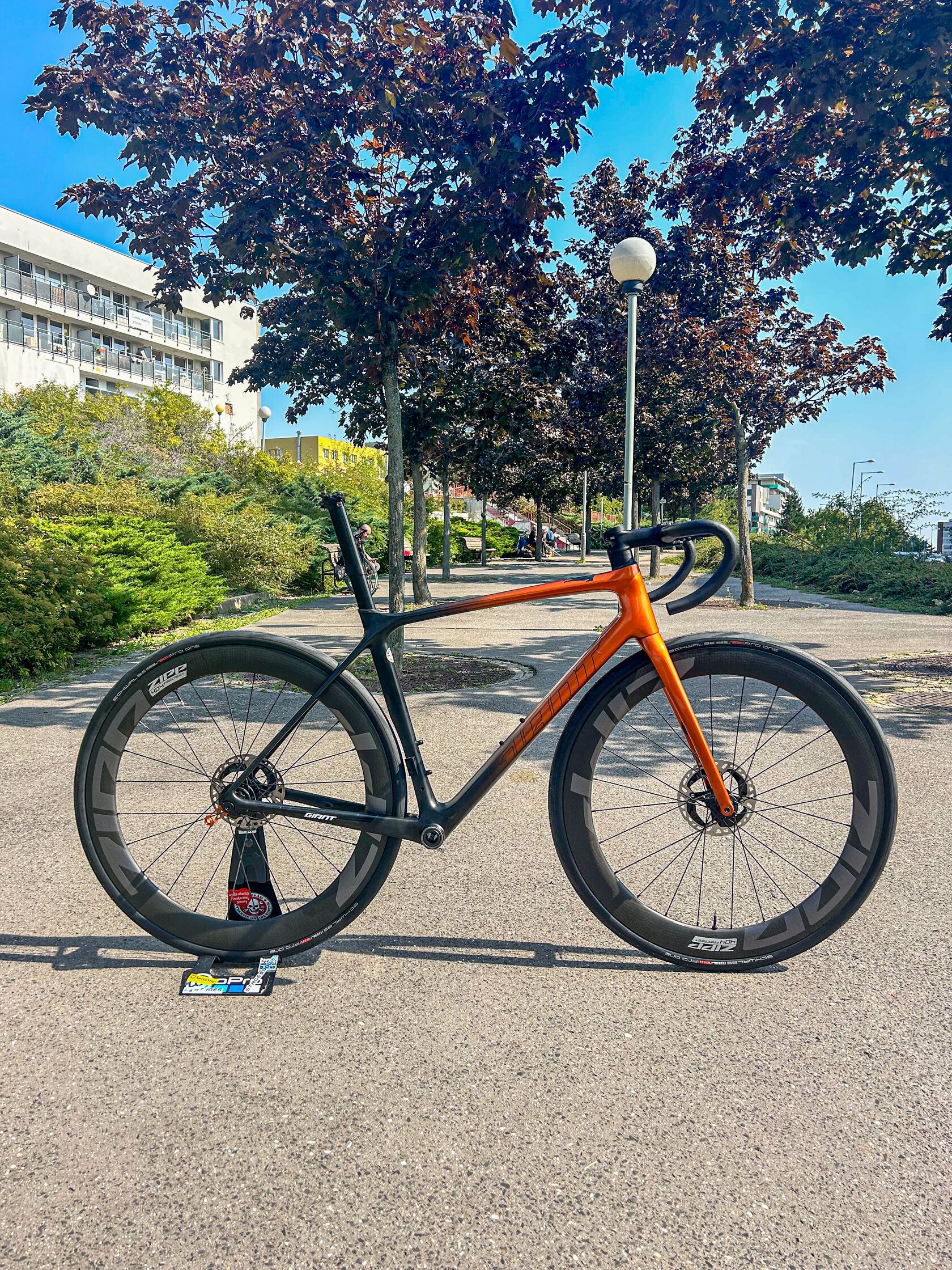 GIANT TCR PRO0