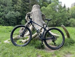 Trek Procaliber 9.6