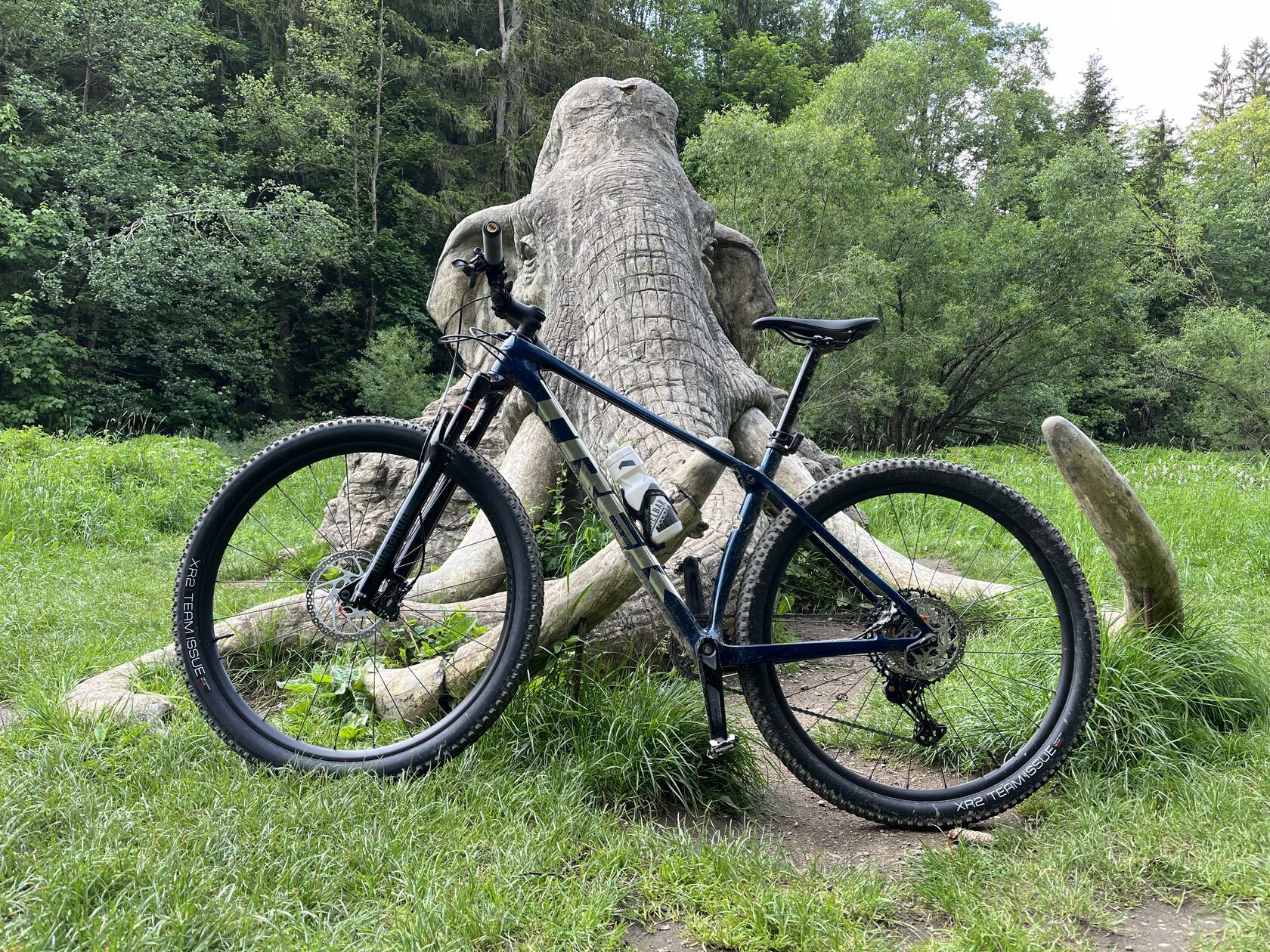 Trek Procaliber 9.6