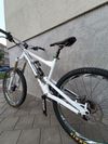 Canyon Torque EX Gapstar