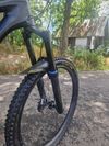 Specialized Enduro 29 custom