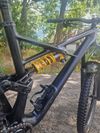 Specialized Enduro 29 custom