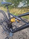 Specialized Enduro 29 custom