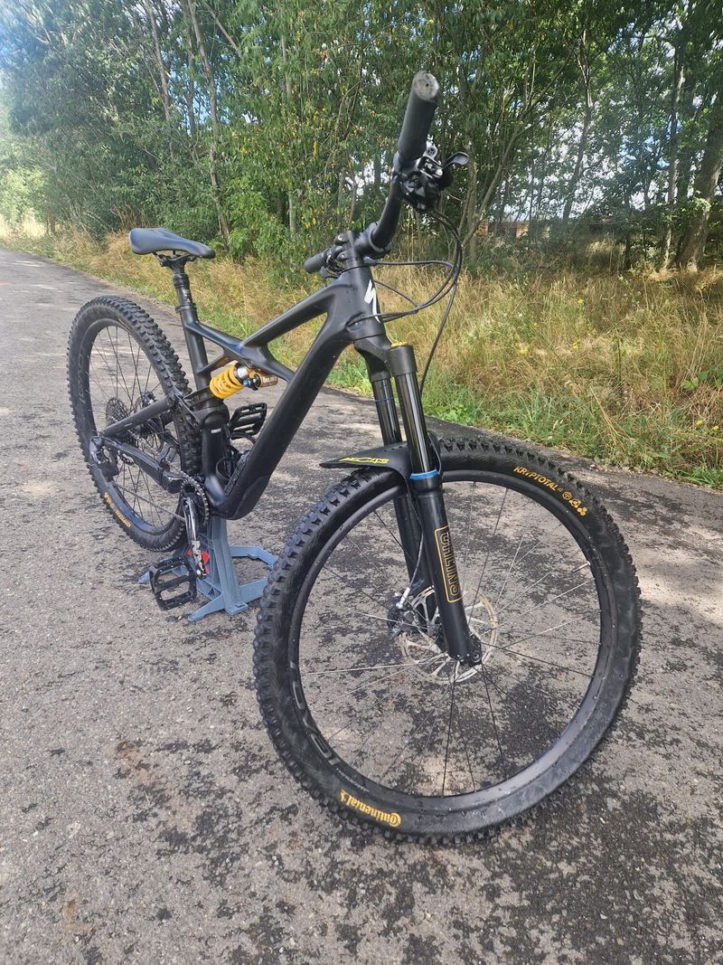 Specialized Enduro 29 custom