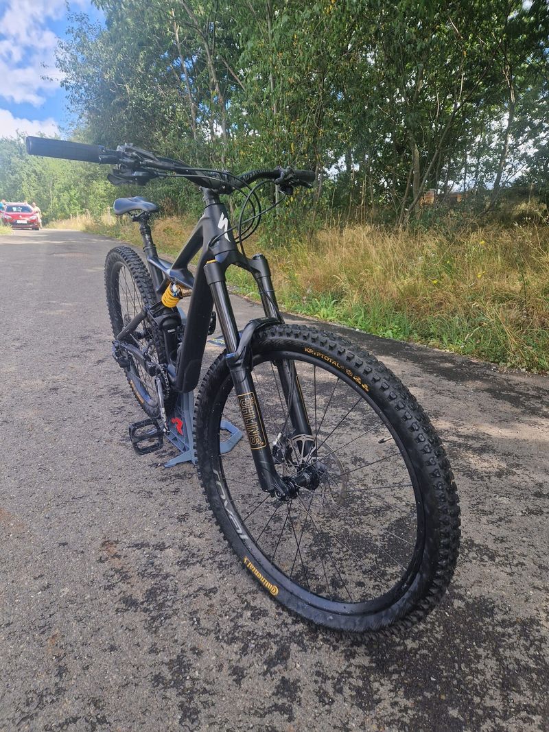 Specialized Enduro 29 custom