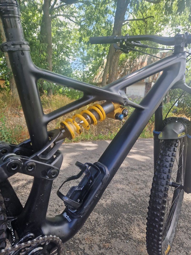 Specialized Enduro 29 custom