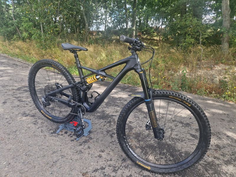 Specialized Enduro 29 custom