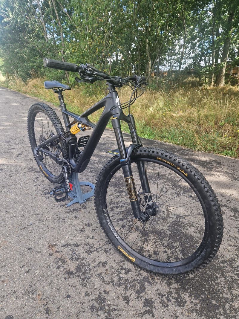 Specialized Enduro 29 custom