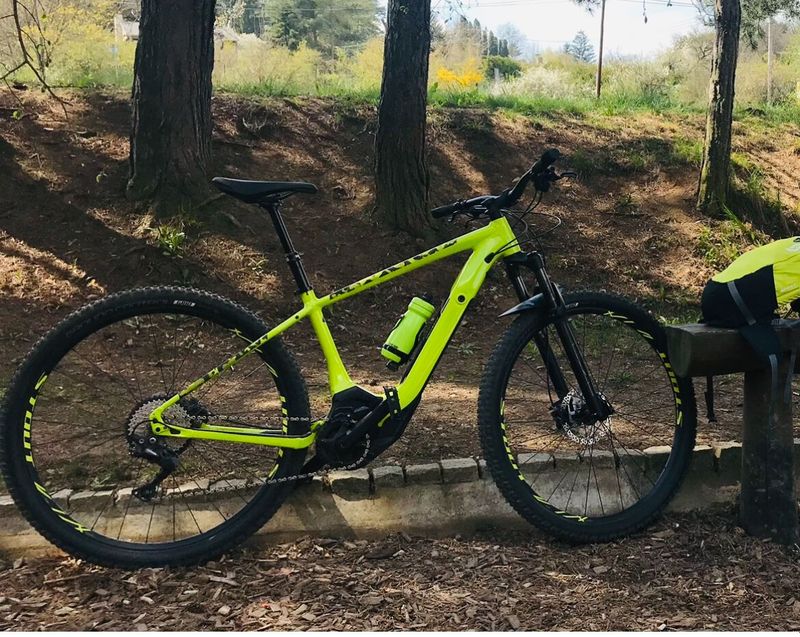 Specialized Levo HT Comp 29”