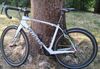 Specialized Roubaix Carbon velikost 54