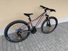 SCOTT Contessa Active 60 vel. XS