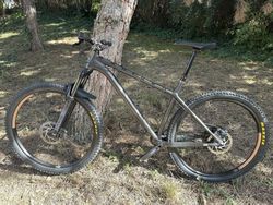 NS Eccentric Alu 29" L