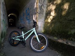 Dětské kolo SPECIALIZED Jett 20 Gloss Oasis/Forest Green 2023