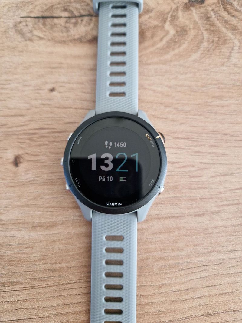 Garmin Forerunner 255S Powder Grey