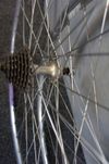 Shimano 105 7 sp+ Campagnolo