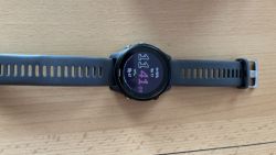 Garmin Forerunner 255