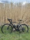 Cannondale Topstone 4