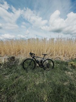 Cannondale Topstone 4