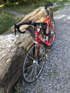 Trek MADONE 5.5 CD 58