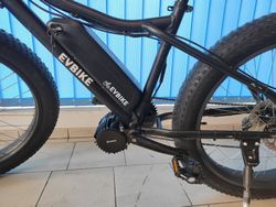 Fatbike 1000W