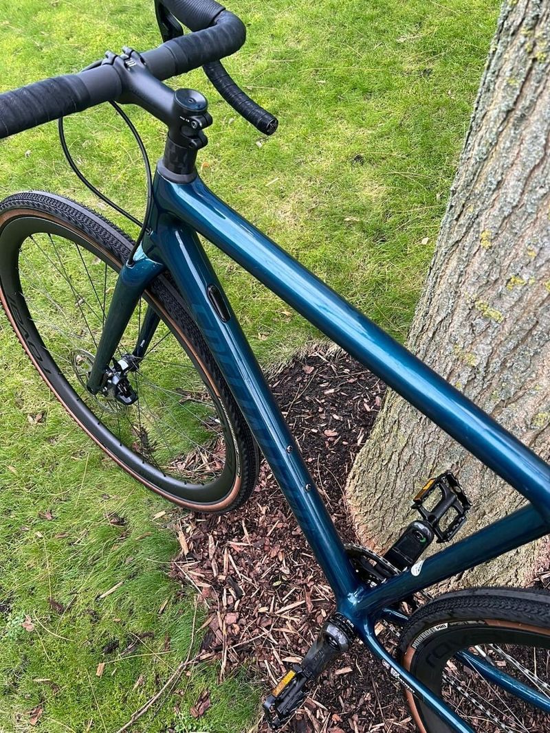 Specialized Crux Pro