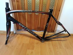 Specialized Roubaix expert