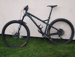 dartmoor primal 29