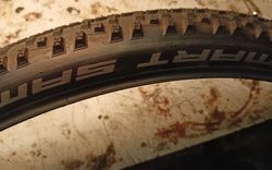 Schwalbe Smart Sam