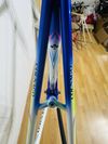 Colnago Master Bititan Art Decor