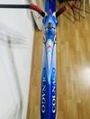 Colnago Master Bititan Art Decor