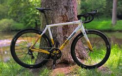 Cannondale Synapse Carbon Ultegra