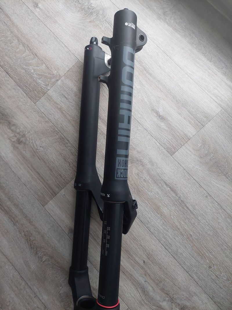 Vidlice RockShox Domain RC - Crown