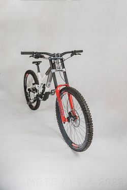 Commencal Supreme DH 29 TEAM 2021