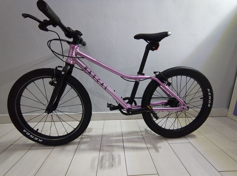 Kolo RASCAL 20"