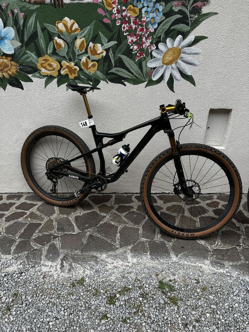 Orbea oiz custom